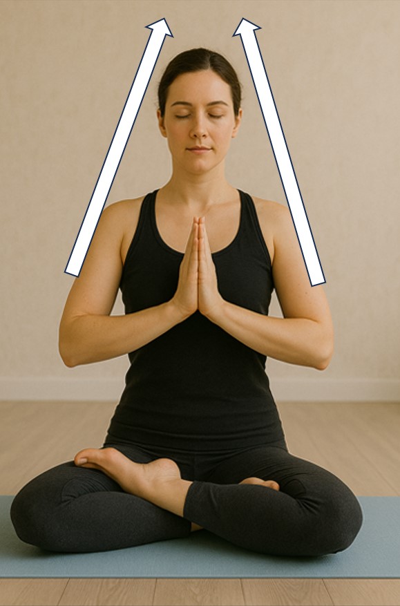 Yoga asanas Yoga asanas